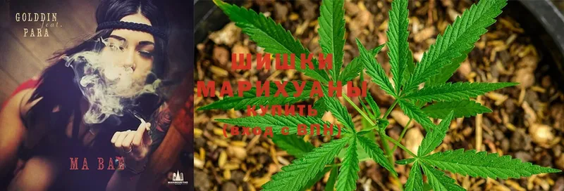 Марихуана LSD WEED  цены наркотик  Соль-Илецк 